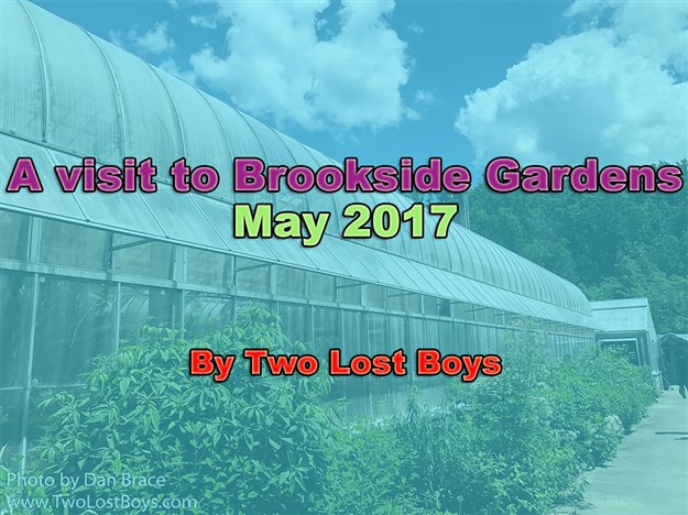 A visit to Brookside Gardens, MD, May 2017